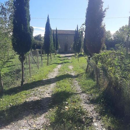 Villa Olivieri Lari Exterior foto