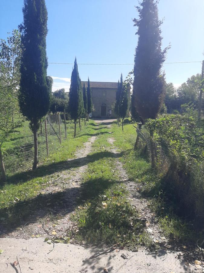 Villa Olivieri Lari Exterior foto